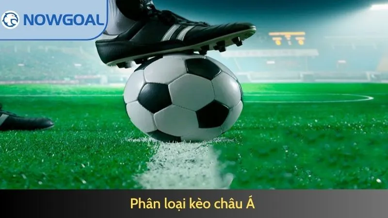 Phân loại kèo châu Á 